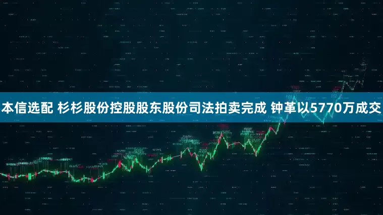 本信选配 杉杉股份控股股东股份司法拍卖完成 钟革以5770万成交